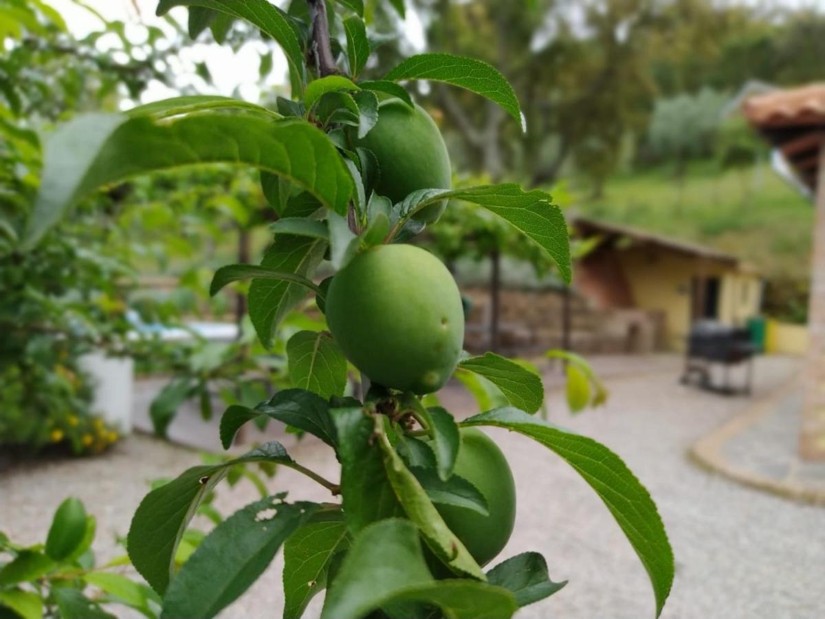 كثل دي لا سييرا Casa Rural El Bonito المظهر الخارجي الصورة