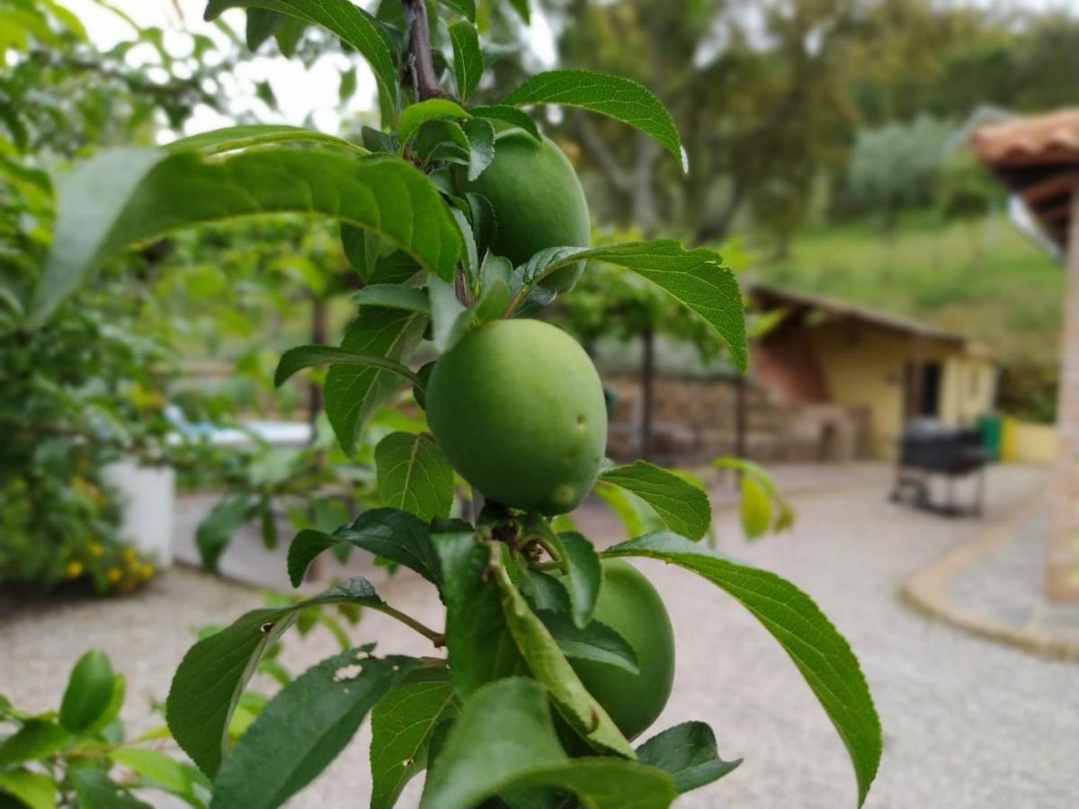 منزل الضيف كثل دي لا سييرا  في Casa Rural El Bonito المظهر الخارجي الصورة