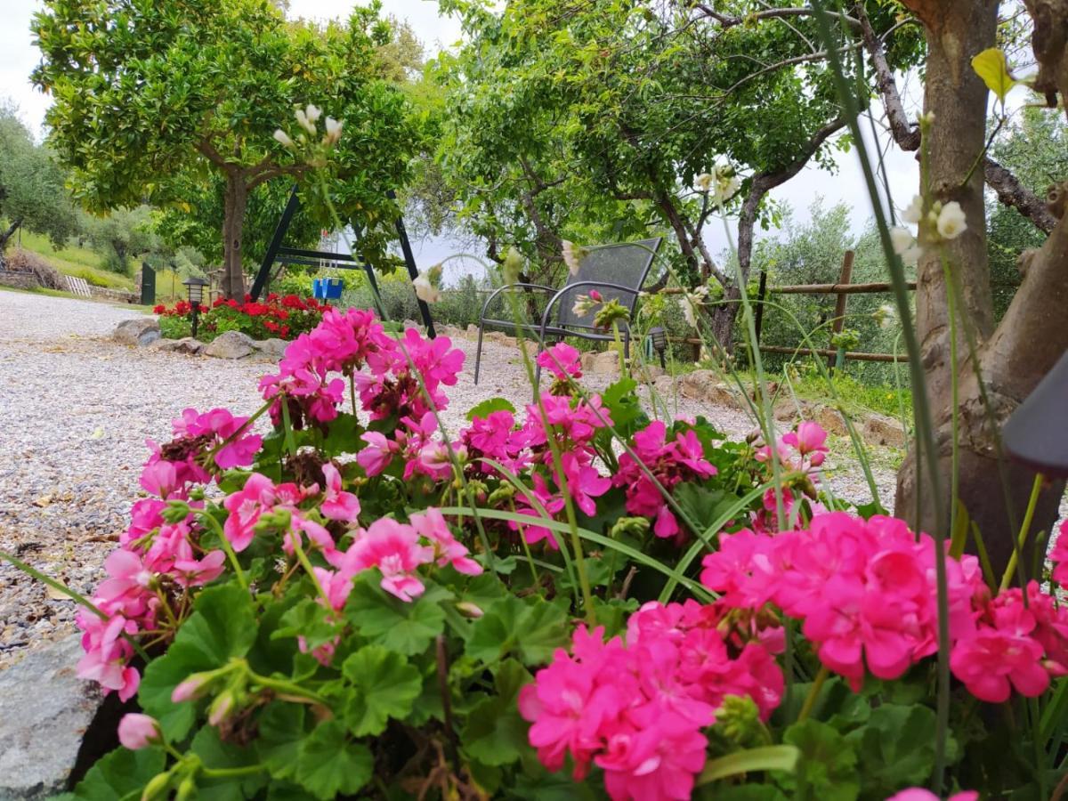 منزل الضيف كثل دي لا سييرا  في Casa Rural El Bonito المظهر الخارجي الصورة